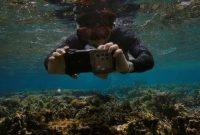 سامسونگ یک سال ترمیم اکوسیستم دریایی با فناوری کهکشان – اتاق خبر جهانی سامسونگ را نشان می دهد